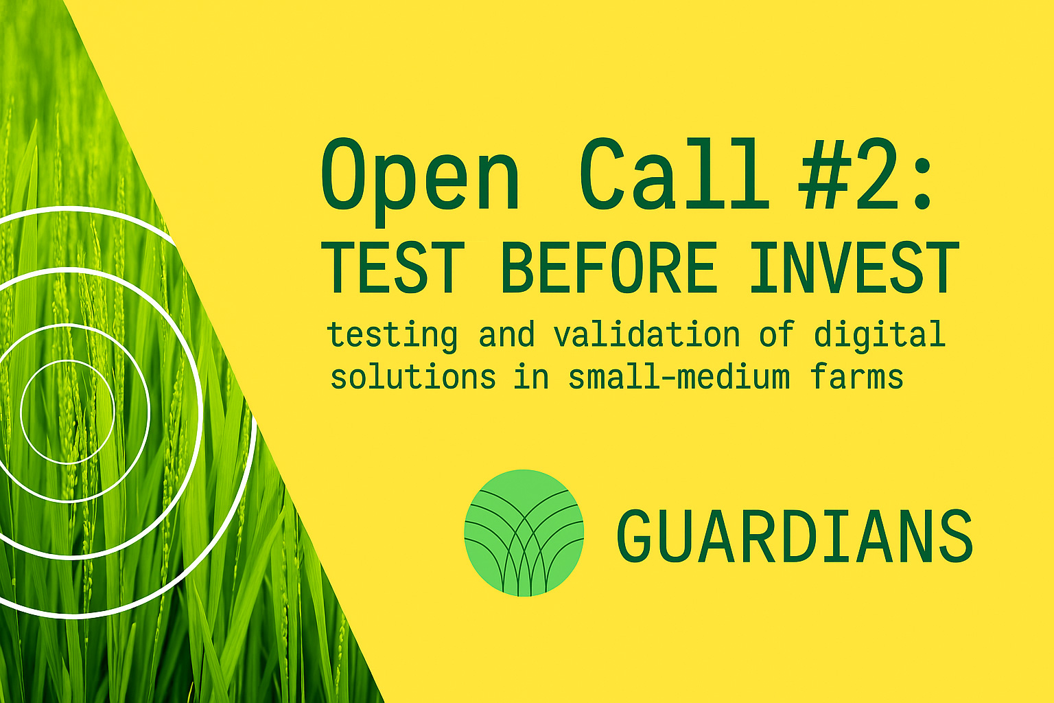 GUARDIANS – Open Call #2 “Test Before Invest”